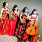 大阪の企業パーティー余興は“音で格を上げる”｜ホテル宴会を変えるSAKURA弦楽カルテット演出